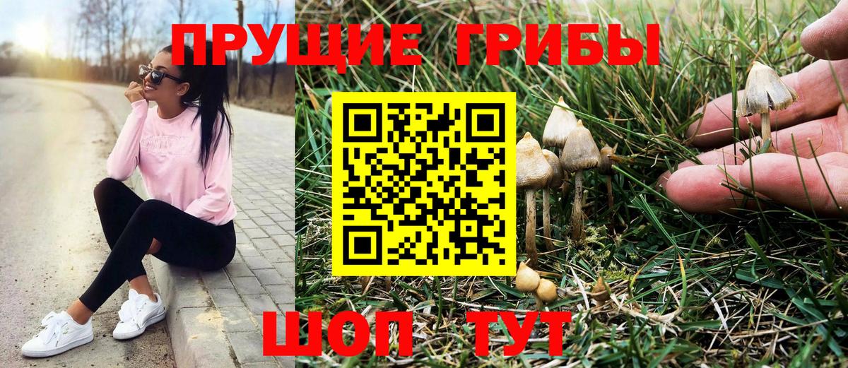 Псилоцибиновые грибы прущие грибы Коломна
